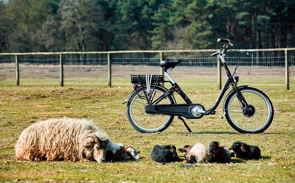 Der Elektroantrieb von Panasonic gibt Ihnen einen verlässlichen, sicheren Anschub.