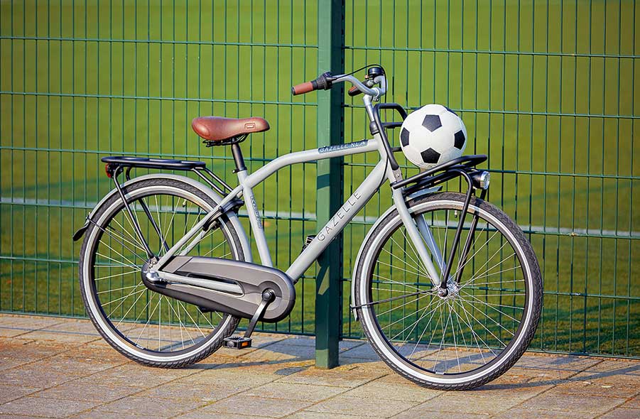 das mädchen bringt sein oder ihr fahrrad